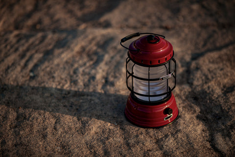 Forest Lantern